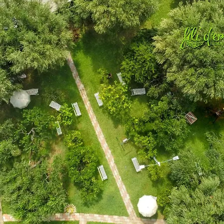 Fili D'erba Cilento Holiday home *