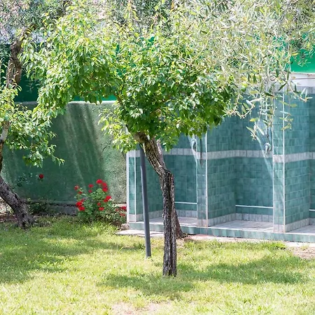 Fili D'erba Cilento Вилламмаре