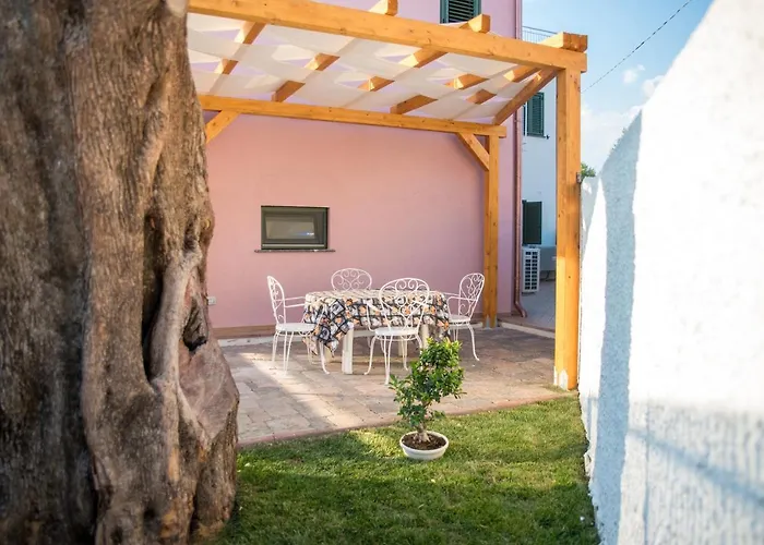 Fili D'erba Cilento *