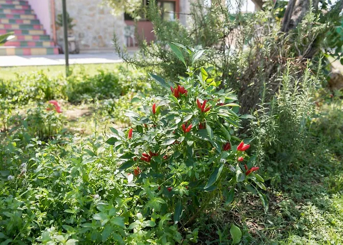 Fili D'erba Cilento بيت للعطل فيلاماري